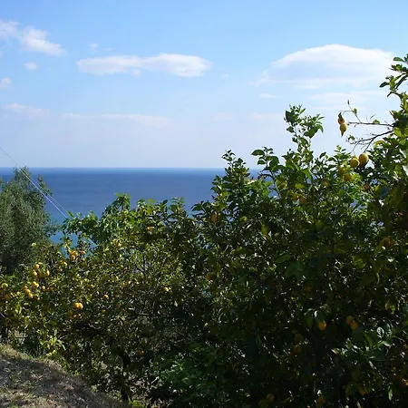 Cecilia * Pisciotta